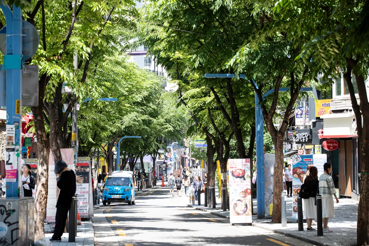 Baumgesäumte Straße in Hongdae mit Geschäften und Fußgängern