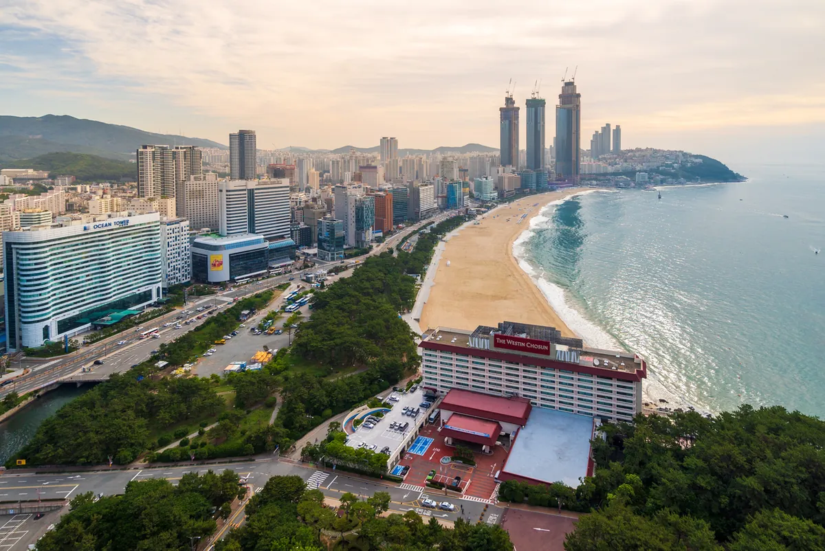 Bãi biển Haeundae uốn cong cạnh dãy khách sạn và tháp căn hộ dày đặc