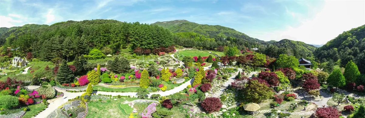 Bồn hoa và đường uốn lượn trong Garden of Morning Calm dưới những ngọn đồi phủ rừng