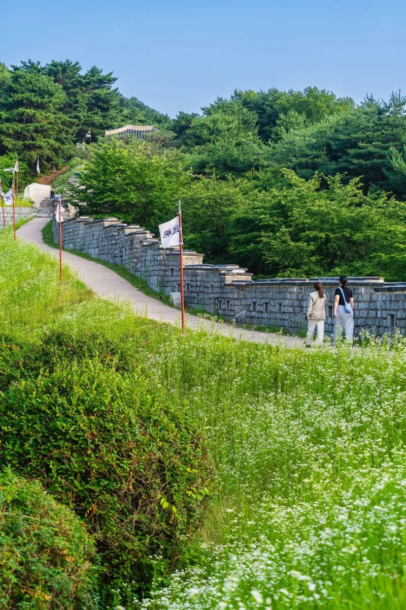 Remparts de Hwaseong à Suwon suivant une colline verdoyante