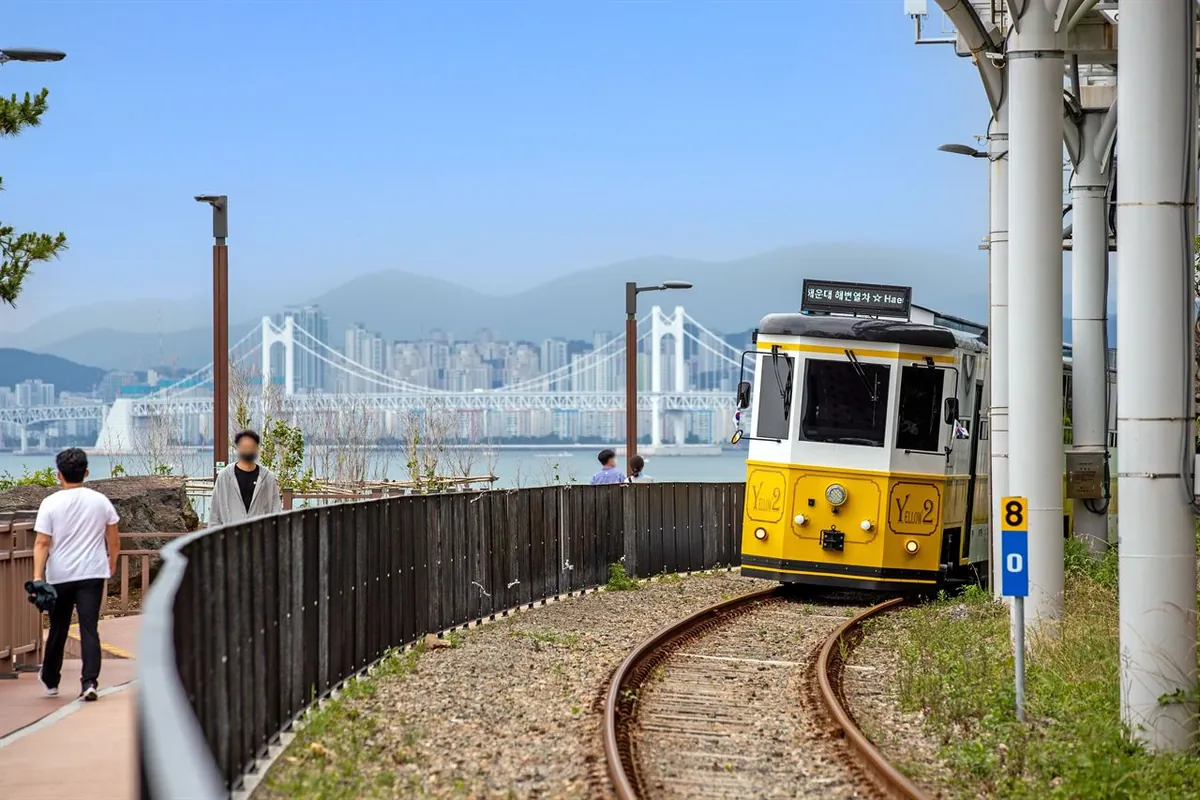 Beach Train vàng vòng trên đường ray ven biển Haeundae