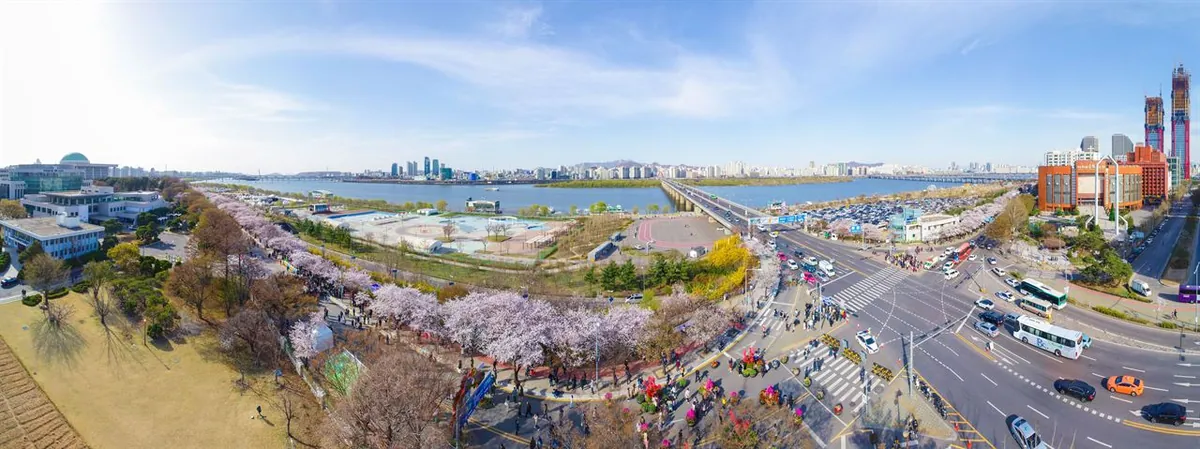 Đường ven sông Yeouido có hoa nhìn từ trên cao
