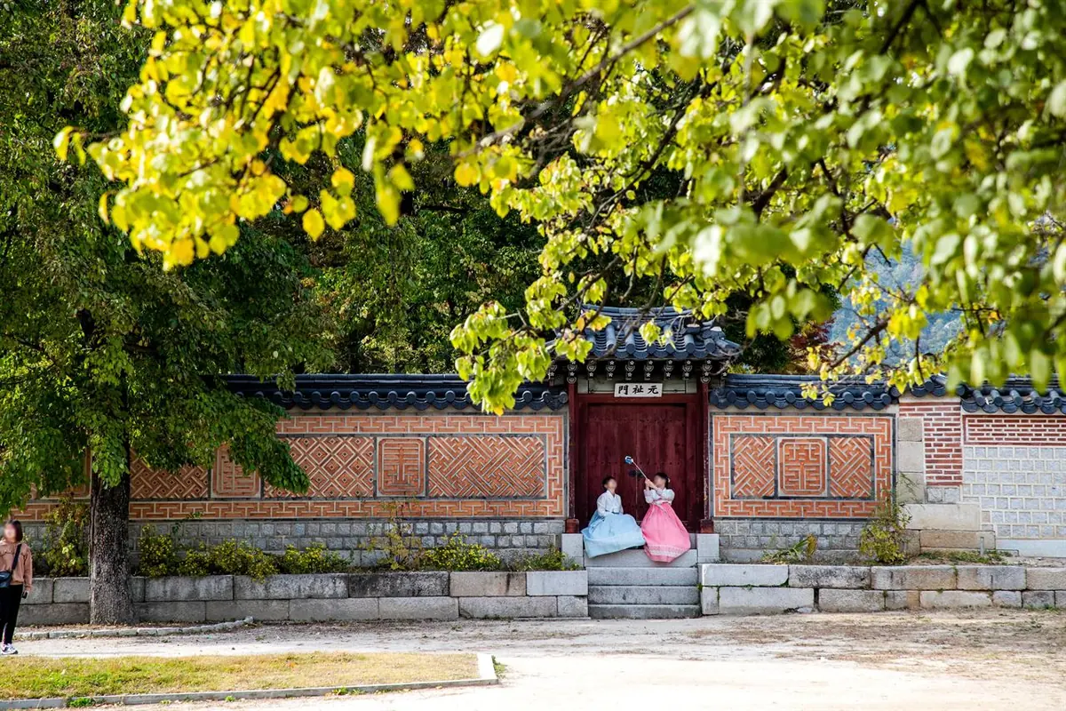 ผู้มาเยือนสวมฮันบกใกล้ประตูวังแดงใต้ใบไม้ฤดูใบไม้ร่วงสีเหลือง