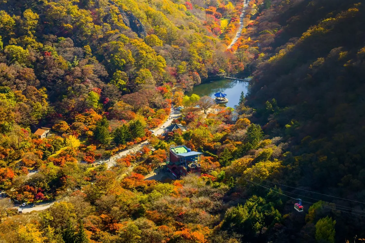 Thung lũng nhiều cây ở Naejangsan với lá vàng, cam và xanh