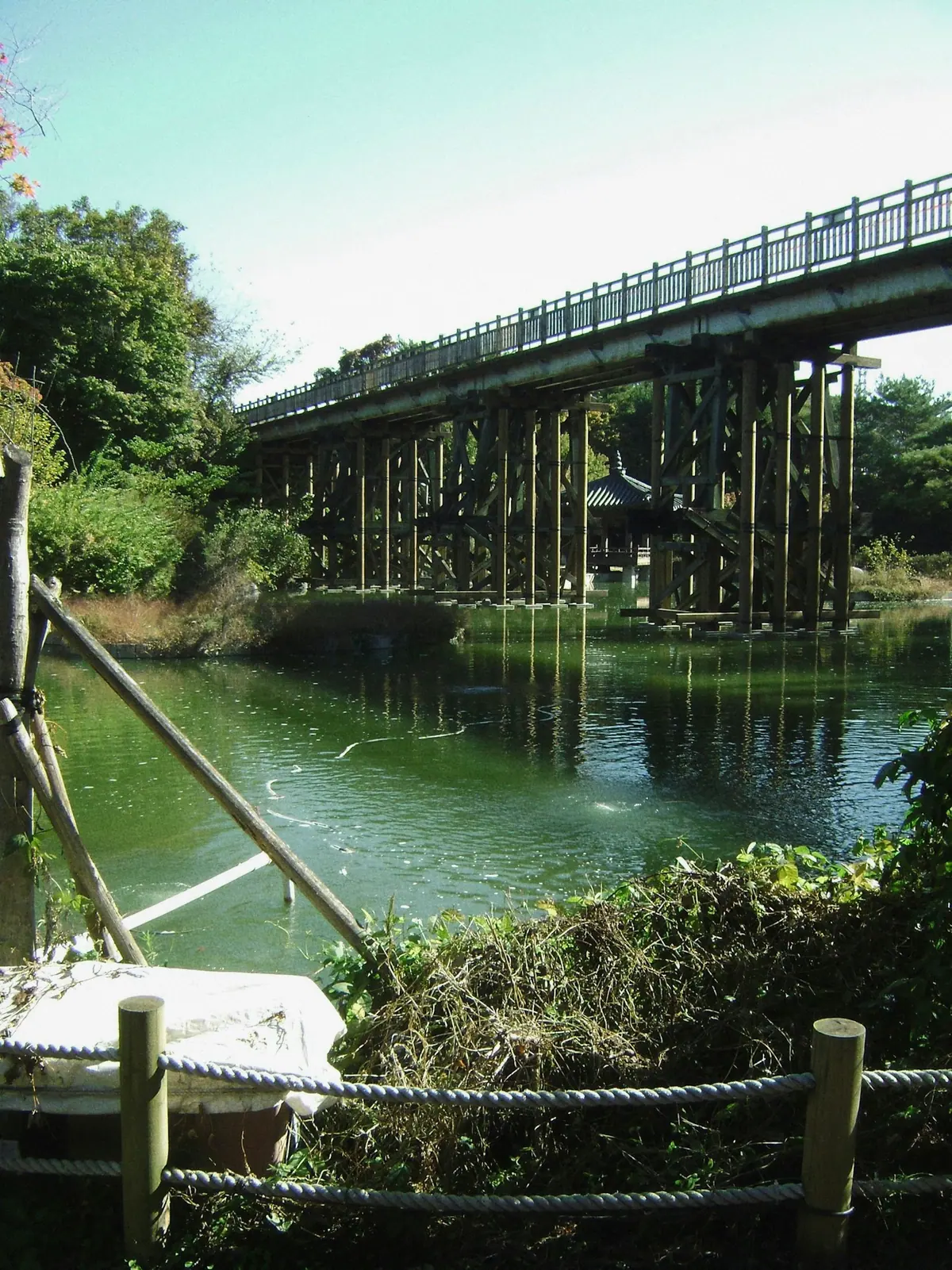 Puente sobre un curso de agua rodeado de bosque en el norte de Corea del Sur