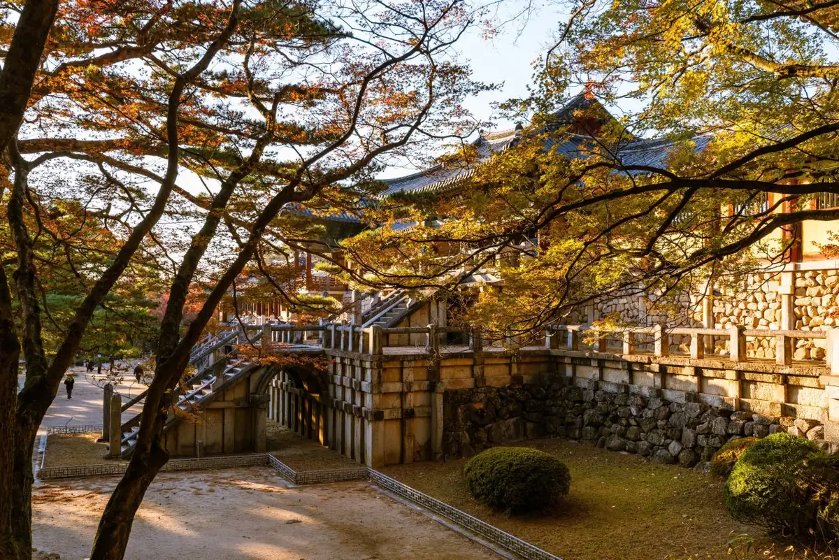 秋树掩映下的庆州佛国寺石台基