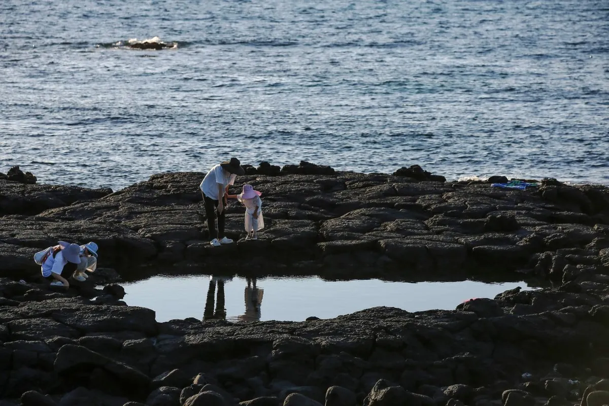 Family exploring lava rock pools beside the sea at Gwideok village on Jeju