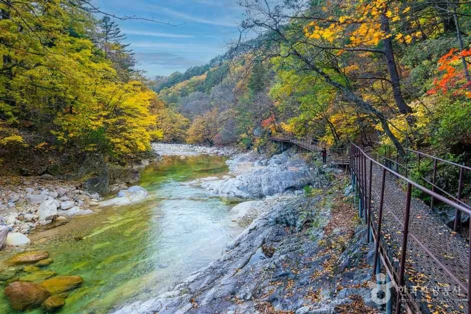 秋の雪岳山国立公園で、岩の多い渓流沿いに延びる細い道