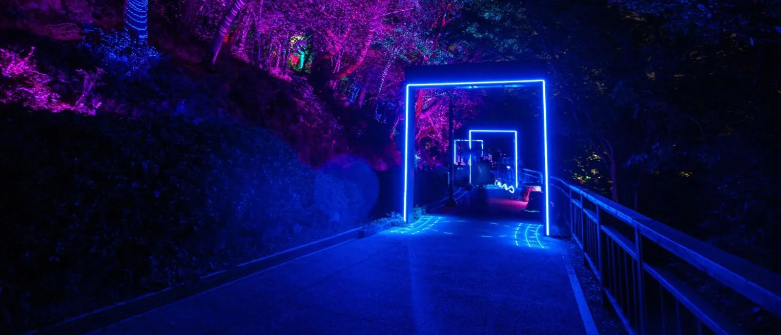 Blue illuminated frames beside purple-lit trees on a DPIRANG path at night